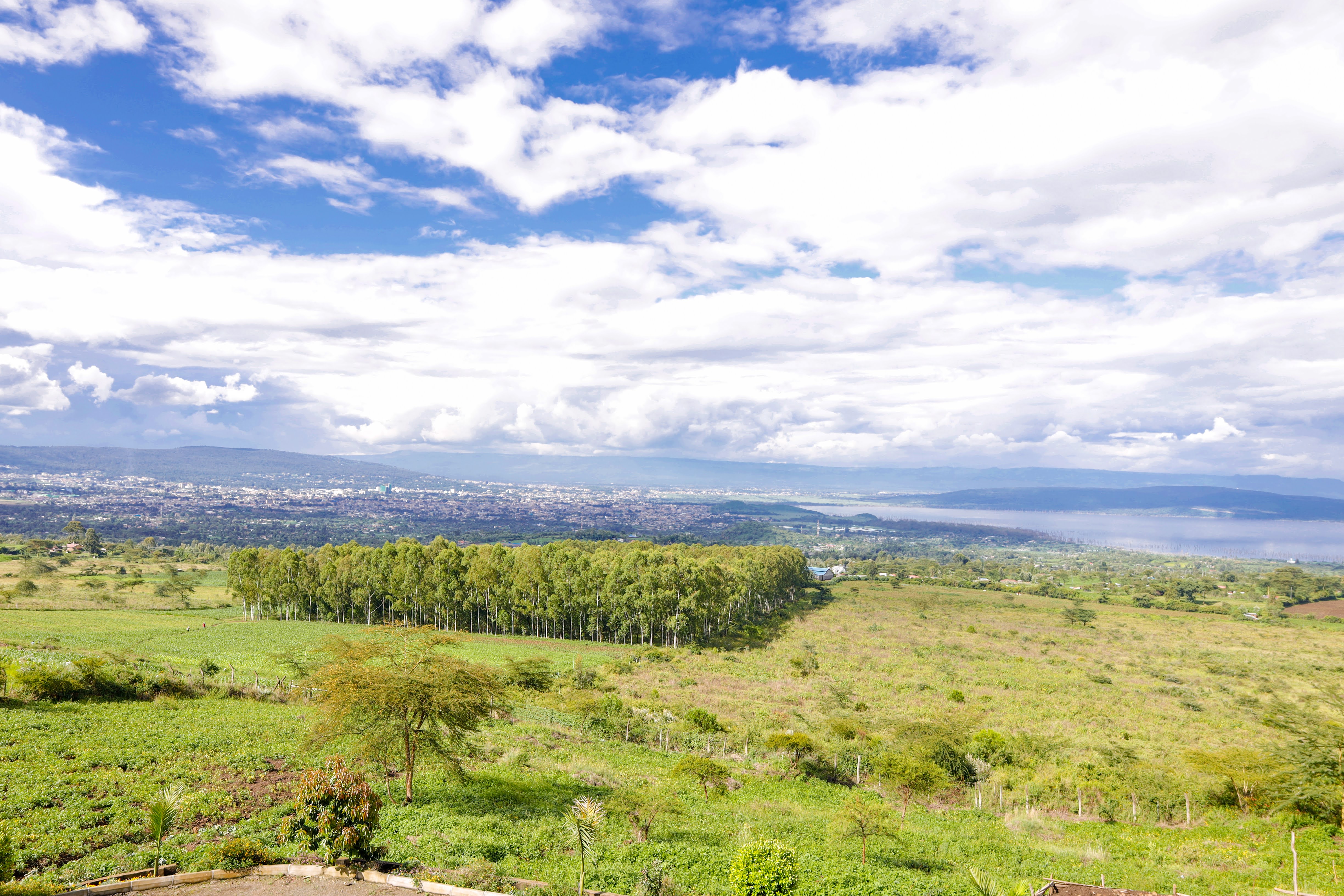 Stunning views of the escarpment